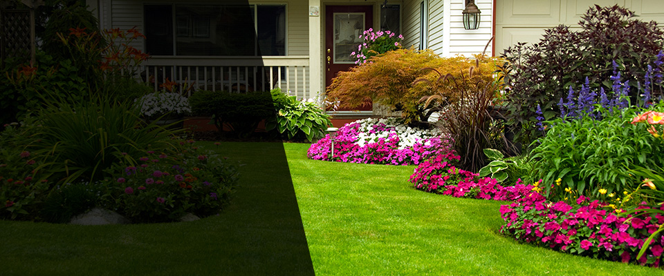 Picayune Landscapers