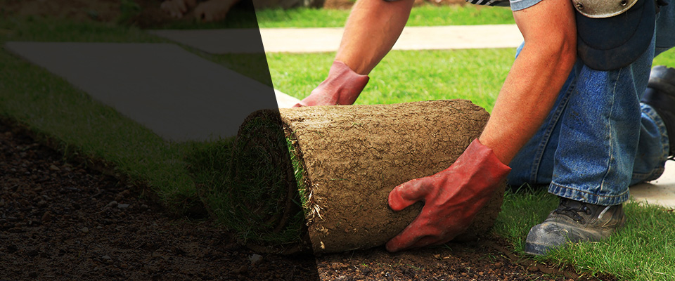 Picayune Landscapers